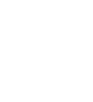 Zerg